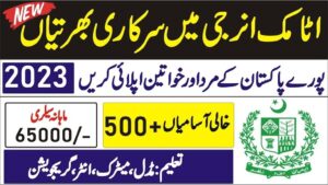 Pakistan Atomic Energy Jobs 2023 Online Apply - EducationSkill